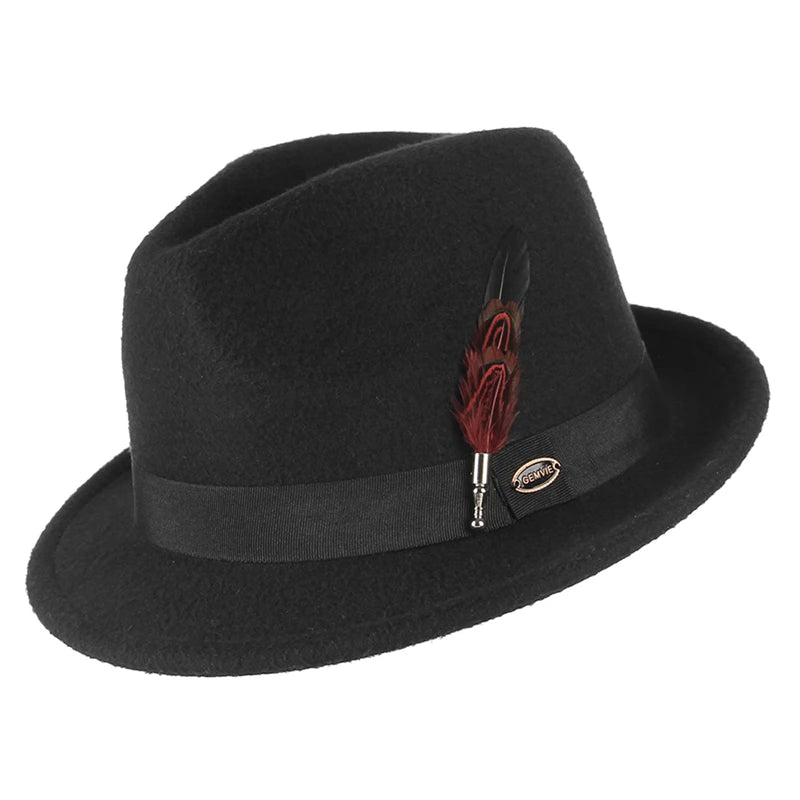 Chapeau en feutre de laine large
