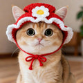 Chapeau pour chat en laine